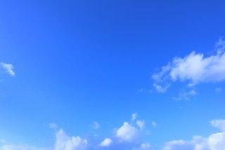 22785038_l.jpg