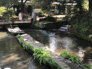 IMG_0713.JPG