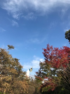 IMG_1677.jpg